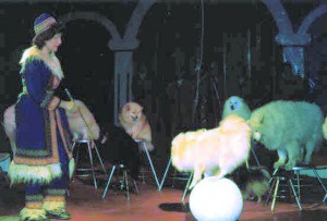 Circus Liliput